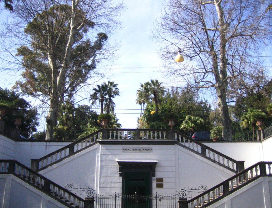 Ira House Nápoles Exterior foto